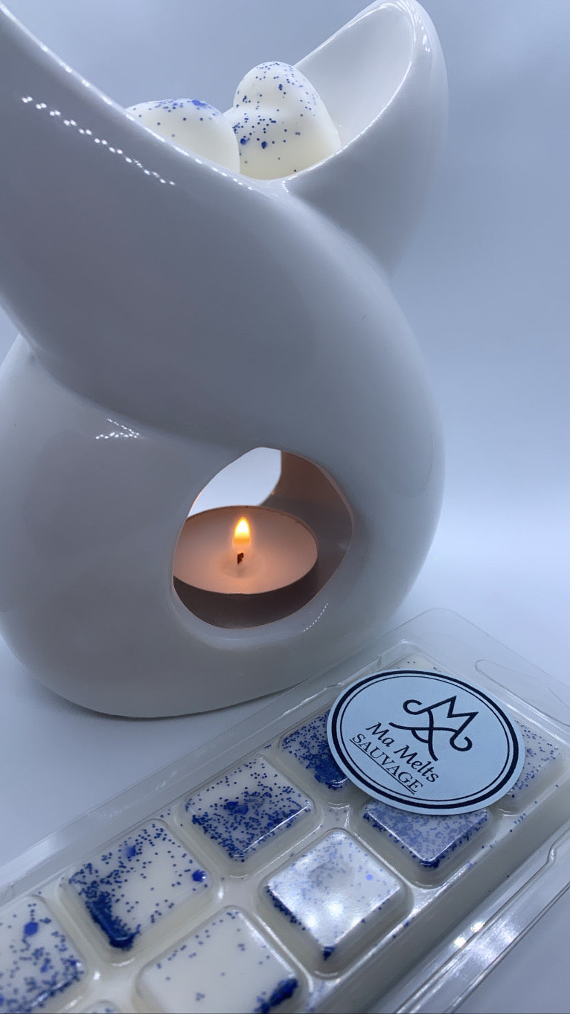 Sauvage Fragranced Odouraze Wax Melt Snapbar 50g