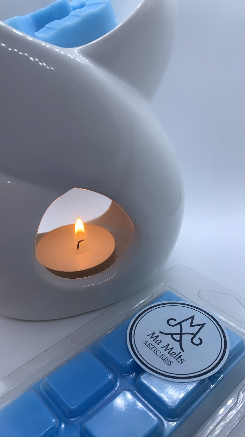 Artic Kiss Fragranced Christmas Wax Melt 50g