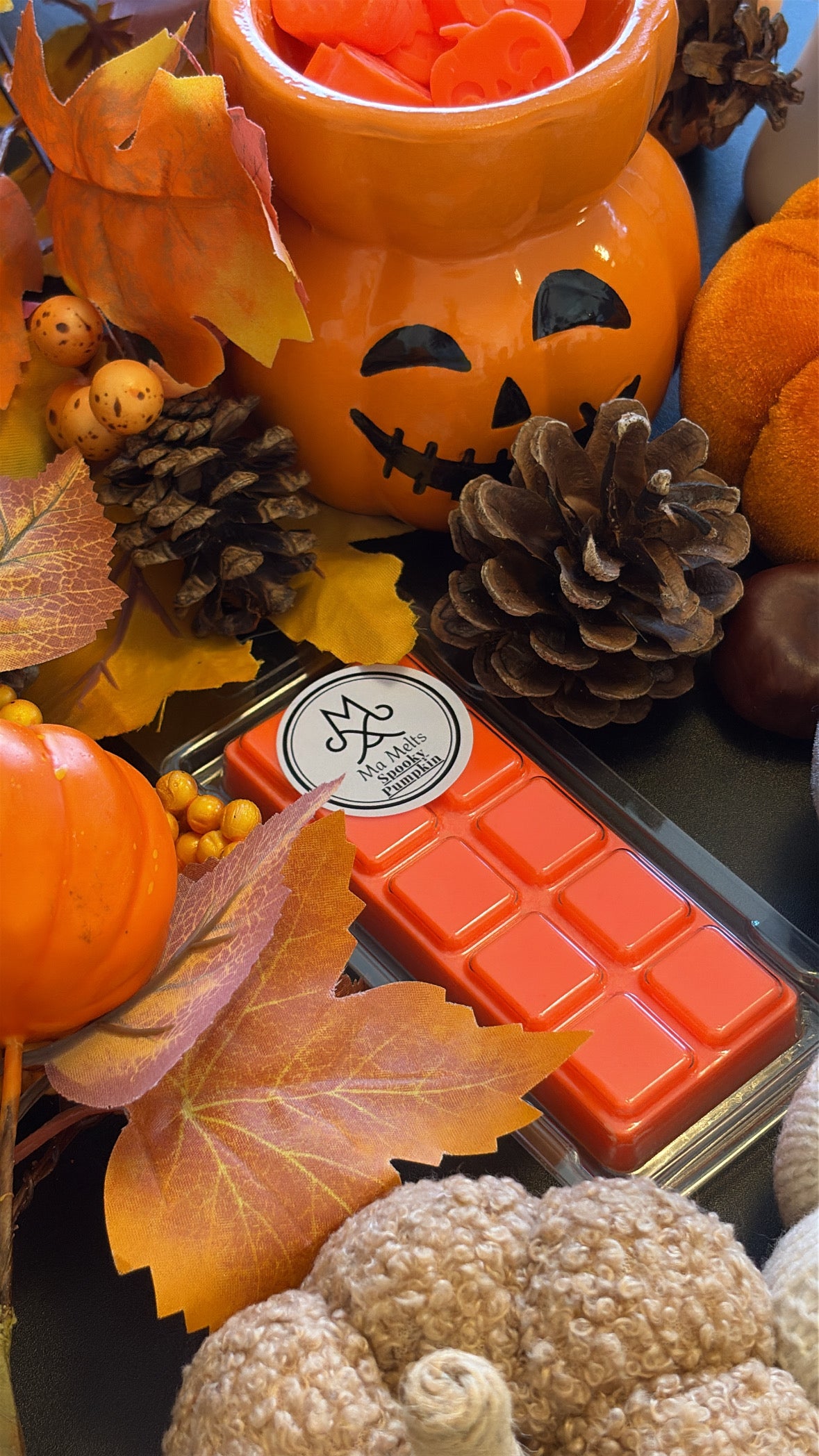 Spooky Pumpkin  Fragranced Wax Melt 50g Snapbar - Halloween